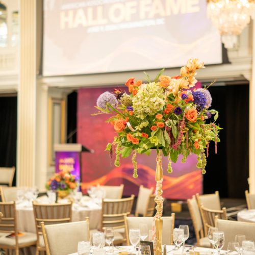 Explore Event Photos and More from the Inaugural Hall of Fame Gala